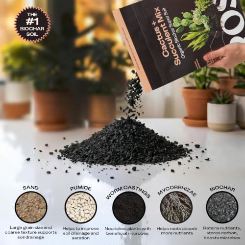 Rosy Soil Cactus & Succulent Potting Mix, 4 Quarts, Pack of 3 - Image 4