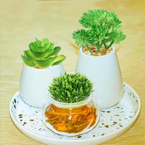 QUOZUO Green Succulent Plants, 6pcs Mini Fake Succulents Plants for DIY Crafting Home Floral Wall Office Decoration (excluding pots) - Image 5