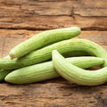 Eden Brothers Cucumber Seeds - Armenian Pale Green by EdenBrothers