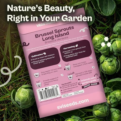 SVI 850 Long Island Brussels Sprouts Seeds (Brassica Oleracea) – Brussel Sprouts Seed Packets, Heirloom Brussel Sprout – Cold Hardy Vegetable Seeds Home Garden, Outdoor Beds, Containers - Image 2