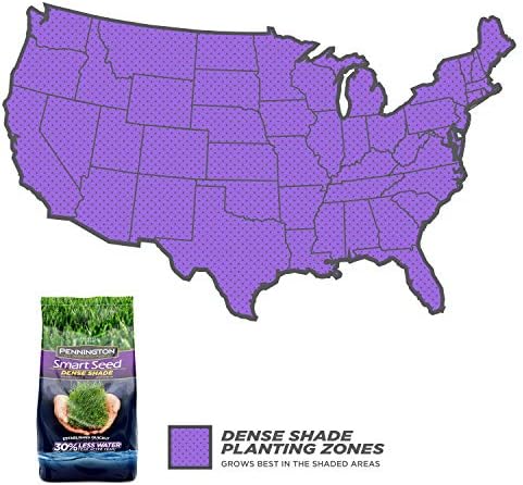 Pennington Smart Seed Dense Shade Grass Seed, 3 lb (100086851) - Image 2