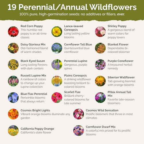 Eden Brothers New York Wildflower Mixed Seeds for Planting, 1 lb - Image 3