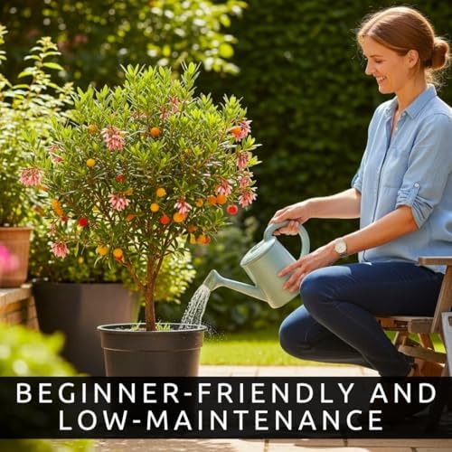 30 Strawberry Tree Seeds | Arbutus Unedo Evergreen Tree Seeds - Image 6