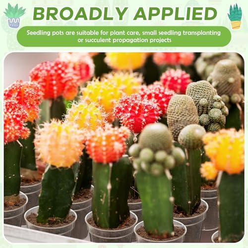 Yaomiao 80 Pcs 3 Inch Clear Nursery Pots with Drainage Holes - Image 5