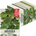 Seed Needs Arugula Seeds to Plant an Herb Garden - 20 Packs by SeedNeeds