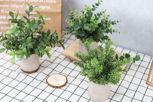 Der Rose 3 Pack Fake Plants Mini Faux Plants for Shelf Classroom Decor - Image 6