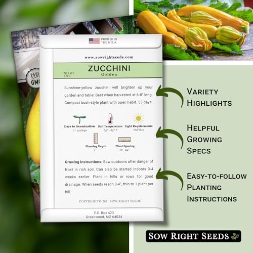 Sow Right Seeds- Golden Zucchini Seed for Planting Summer Squash Garden 2pk - Image 2