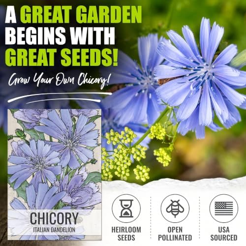 Seed Needs Herb Seeds Variety Pack of 3 - Dandelion Set Non-GMO & Heirloom - Image 2