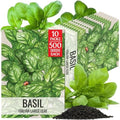 Seed Needs Italian Large Leaf Basil Seeds to Plant an Herb Garden - 10 Packs by SeedNeeds