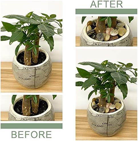 FANTIAN 2 lbs Small Pebbles for Indoor Plants, 0.8-1.2 Inch River Rocks - Image 3