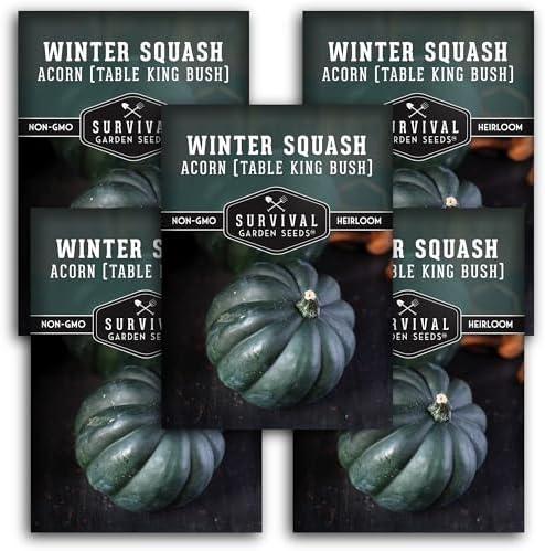 Acorn Squash Seeds for Planting – Survival Garden Seeds (5 Pack) by SurvivalGardenSeeds