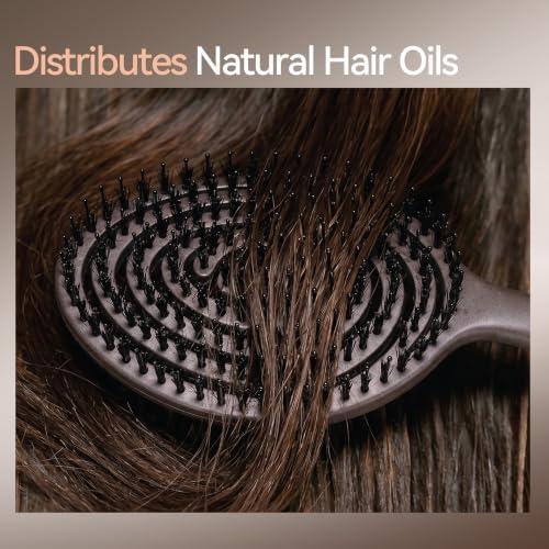 Boar Bristle Slick Back Hair Brush for Women, Detangler Brush For Fine Hair - Image 3