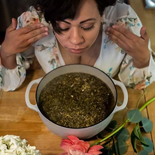 Botanical Facial Steam | 4 Steam Sessions - Image 4