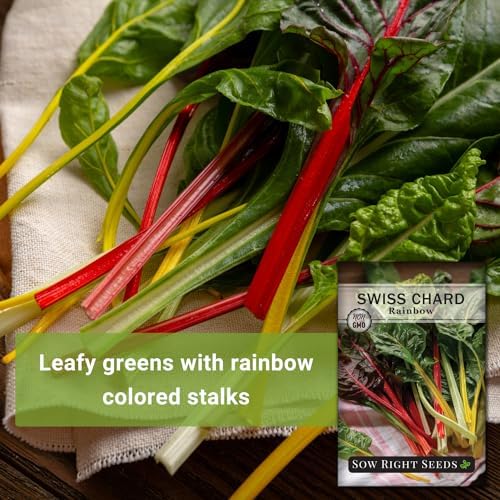 Sow Right Seeds - Rainbow Swiss Chard Seed for Planting a Home Garden 3pk - Image 3