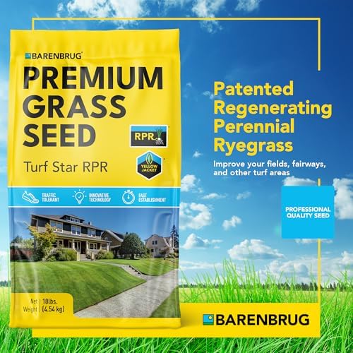 Barenbrug Turf Star Regenerating Perennial Ryegrass Lawn Seed with Yellow Jacket Seed Coating, Fast-Acting Durable Grass Seed Mix for Lawns, 10-lb. Bag - Image 2