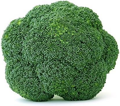 Bulk Organic Waltham Broccoli Seed (10 LB) Non GMO - Image 3