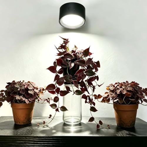 2 Pack Artificial Red Satin Pothos, Faux Trailing Vine Potted Plans - Image 3