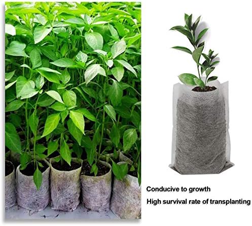 Augshy Nursery Growing Bags, 400pcs Fabric Plant Bags, Non-Woven Plants Grow Bags, Seeding Starter Bag Seedling Plants Pots Home Garden Outdoor Greenhouse Supplies - Image 4