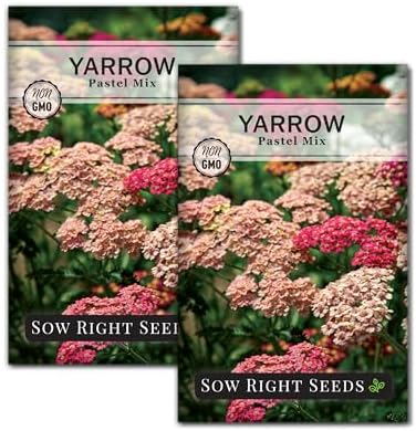 Sow Right Seeds - Pastel Mix Yarrow Seeds for Planting Perennial Herbs 2pk by SowRightSeeds