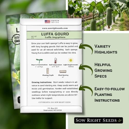 Sow Right Seeds - Luffa Gourd Seed for Planting Loofah Natural Sponge 4pk - Image 2