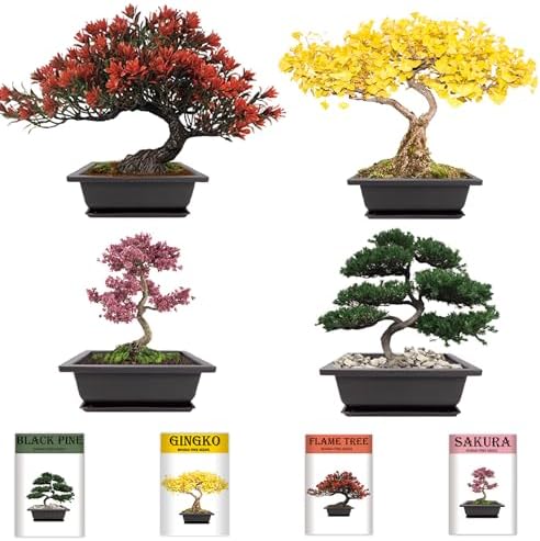 Bonsai Garden Starter Kit, 4 Seeds Growing into Sakura, Ginkgo, Black Pine, Red Flame, Including Complete Gardening Tools & A Planter Box with Cover for Men Women Beginners - Image 3