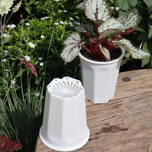 10 Pack 5.30 Inch White Plastic Deep Nursery Flower Pots and Seedling Planter for Succulent, Cutting, Transplanting - Image 4