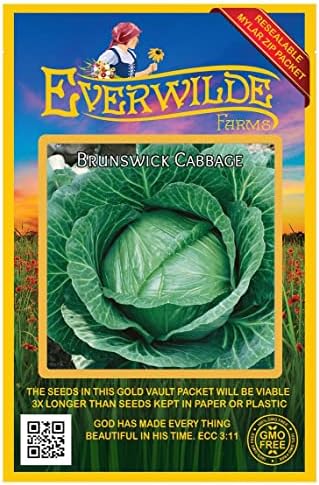 500 Brunswick Cabbage Seeds - Gold Vault Jumbo Seed Packet by Everwilde+Farms