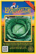 500 Brunswick Cabbage Seeds - Gold Vault Jumbo Seed Packet by Everwilde+Farms