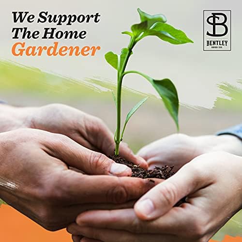 Bentley Seeds Growing Houses into Homes - Pre Filled Forget Me Not Garden Seed Packets - 25 Packed Forget Me Not Seed Packs - Perfect Realtor Gift for Prospecting or New Homeowners - Non GMO Seeds - Image 5