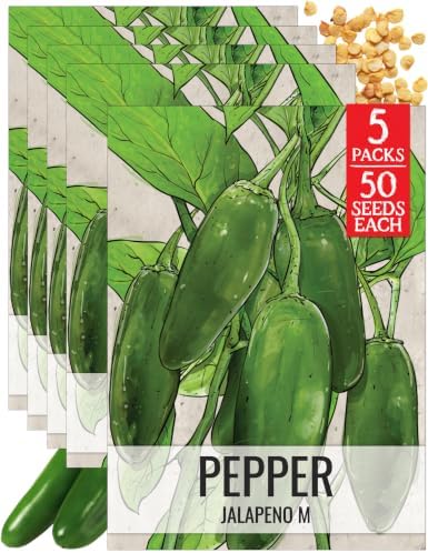 Seed Needs Jalapeño M Hot Pepper Seeds to Plant Vegetables - 5 Packs by SeedNeeds