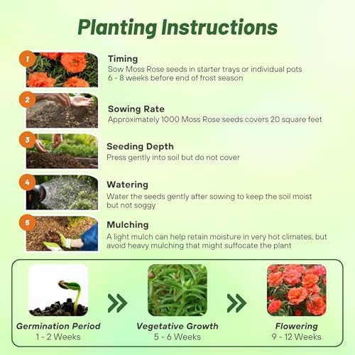 Outsidepride Orange Moss Rose Seeds - 10000 Pcs Annual, Drought & Heat Tolerant, Pollinator Friendly Ground Cover Seeds for Planting w/Vibrant Blooms & Succulent Foliage, Ideal for Xeriscaping - Image 5