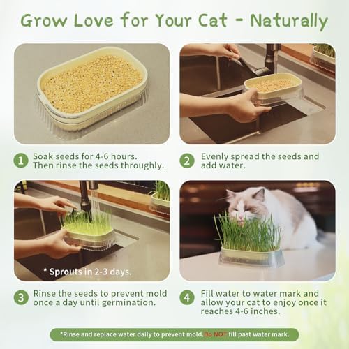 Hydroponic Cat Grass Grow Kit with 5Pack Non GMO Seeds, Organic Grass Growing Kit, Cat Grass for Indoor Cats, Soil-Free Planter, Perfect for Beginners, Ideal Birthday Gift for Cat Lovers - Image 5
