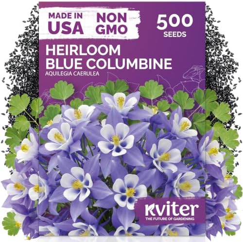500 Blue Columbine Heirloom Flower Seeds for Planting, Aquilegia Caerulea by KVITER