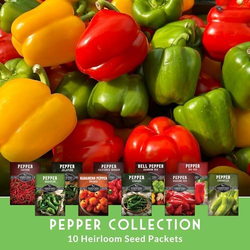 10 Pepper Seed Variety Pack for Planting - Survival Garden Seeds - Image 3
