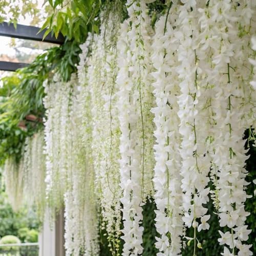 400+ Climbing Weeping Jasmine Flower Seeds for Planting Fragrant Plant Seeds Four Seasons Garden Home Jasmine Garden Balcony Climbing Flower - Image 2