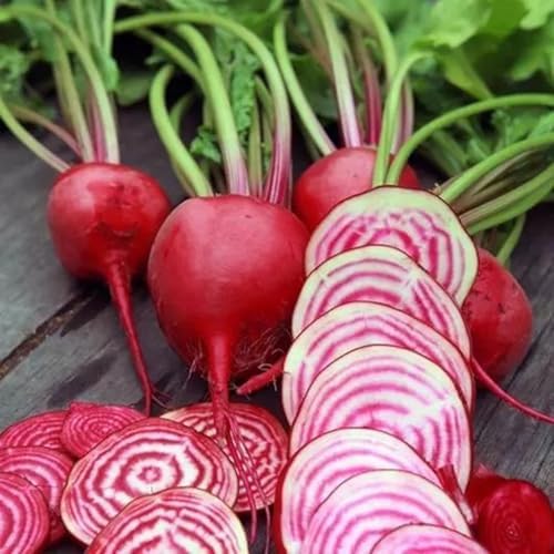 50+ Beet Seeds for Planting – Heirloom Non-GMO by Axel%27s+Garden+Seeds