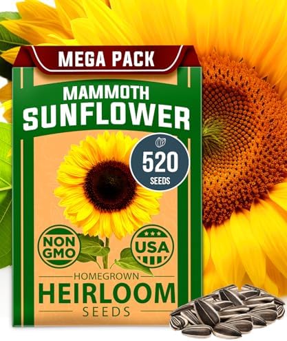 HOME GROWN Lavender & Sunflower Seed Kit – 2-Pack with 1,500 English Lavender & 520+ Mammoth Sunflower Non-GMO USA Seeds – Indoor & Outdoor Wildflower Garden Set – Easy to Grow, Heirloom Flowers - Image 2
