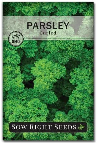 Sow Right Seeds - Curled Parsley Seed for Planting Your Own Herb Garden by SowRightSeeds