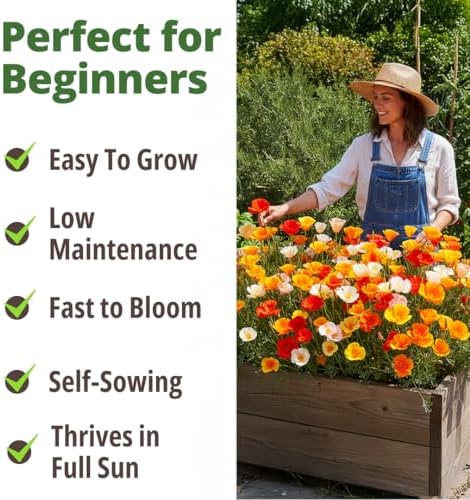 HOME GROWN Formula Mix CaliforniaPoppy 11000 Seeds Eschscholzia californica - Image 7