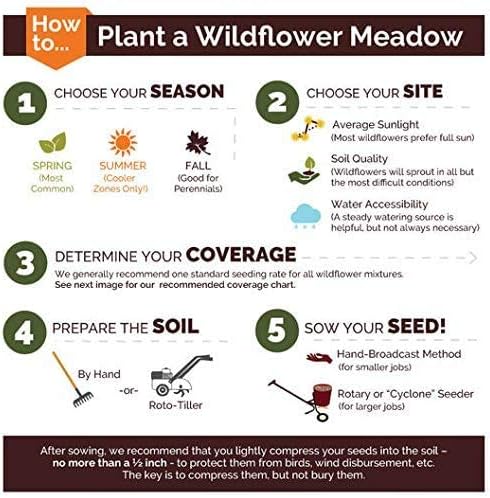 Non GMO Bulk All Perennial Wildflower Seed Mix Non GMO (50 Lbs) - Image 6