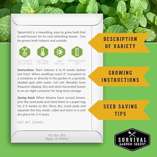 Mint Seeds Variety Pack for Planting - Image 2