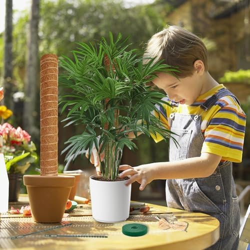 Monstera Plant Support Moss Pole, 2 Pack 16 Inch Stackable Coco Coir - Image 4