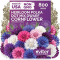 800 Polka Dot Mix Dwarf Cornflower Heirloom Flower Seeds, Centaurea Cyanus by KVITER