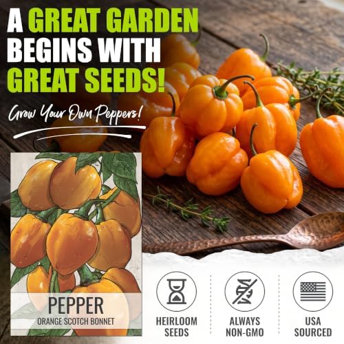 Seed Needs Scotch Bonnet Hot Pepper Seeds to Plant Vegetables - 10 Packs - Image 2