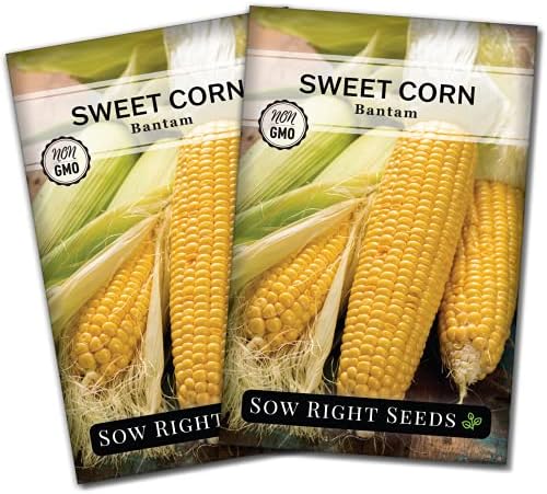 Sow Right Seeds - Golden Bantam Sweet Corn Seed for Planting Outdoors 2pk by SowRightSeeds