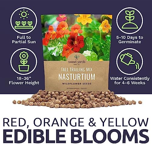 Nasturtium Seeds – Mixed Colors – Extra Large Packet – Over 200 Open Pollinated Non-GMO Flower Seeds – Tropaeolum majus - Image 6