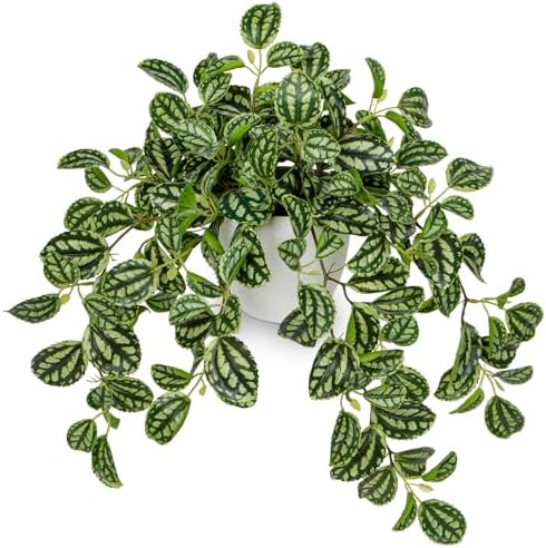 Briful Faux Plant Indoor, 17.7" Artificial Watermelon Peperomia Trailing Plant in White Plastic Pot, Realistic Fake Cascading Greenery for Cabinet Shelf Bathroom Office Table Home Kitchen Decor by Briful