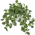 Briful Faux Plant Indoor, 17.7" Artificial Watermelon Peperomia Trailing Plant in White Plastic Pot, Realistic Fake Cascading Greenery for Cabinet Shelf Bathroom Office Table Home Kitchen Decor by Briful
