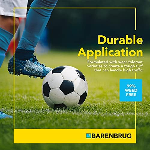 Barenbrug 25626 Turf Sense Athletic Field Grass Seed Grows in Areas of Sun and Partial Shade, 25 LB Bag - Image 3