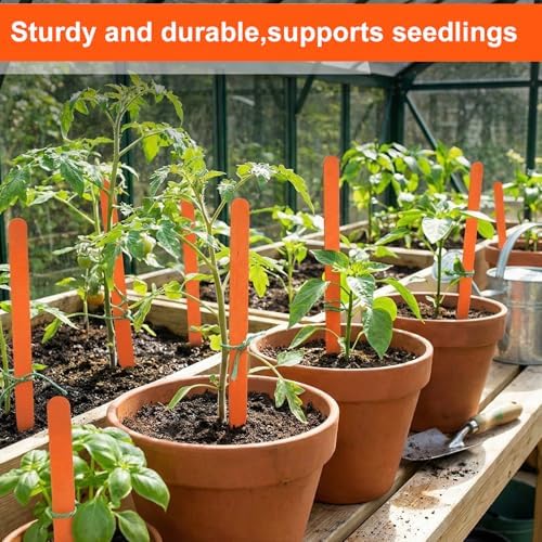 Weysat 100 Pcs 12" Wood Plant Labels for Field or Containers Plant Tags Wood Garden Labels for Seedling Stakes Markers Nursery Seed Tags with Smooth Surface for Pot Herbs Flowers Vegetables (Orange) - Image 4